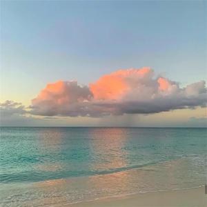 扒开小舞❌狂揉❌难受粉红女郎
